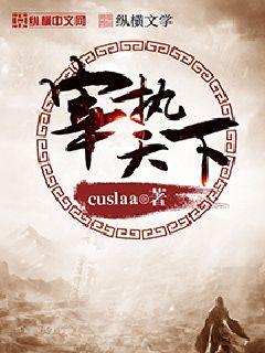 宰执天下 地图